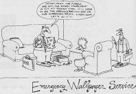 Emergency Wallpaper Service